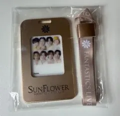 FANTASTICS SUNFLOWER アプグレ　IDパス　本体　集合のみのサムネイル