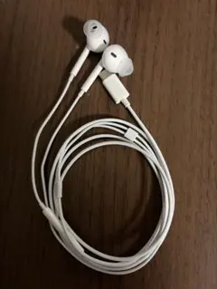 Apple 純正品 EarPods（USB-C） ELECOM製イヤーピース付き