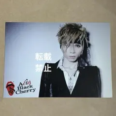 Acid Black Cherry yasu ポストカード 13 - メルカリ