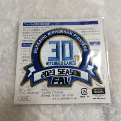 Item thumbnail for item 26a10d15-8b52-4ecb-be4e-a5430d730c11