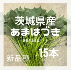 2025年最新】紅はるか苗の人気アイテム - メルカリ
