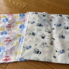 ビニールトートバッグ2枚組