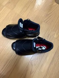 NPB UMPIRE ミズノプロ 審判用ジャケット 2XO袖番号39 支給品？ - メルカリ