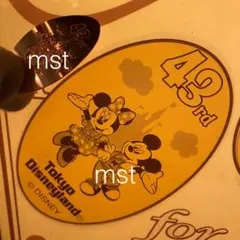 ディズニーランド スーベニアメダル 43rd ミッキー ミニー トゥーンタウン