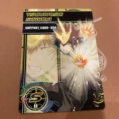 家庭教師ヒットマンREBORN リボーン サザンクロスバトル 沢田綱吉