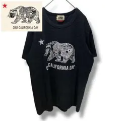ONE CALIFORNIA DAY tシャツ サイズM