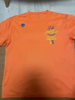 バレーボールTシャツ　デサント