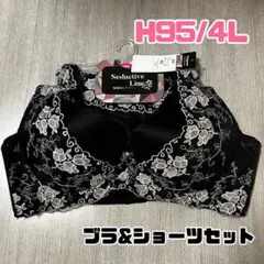 【新品未使用 タグ付き】ブラック ブラ＆ショーツセット 即発送 H95 4L