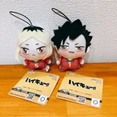 ハイキュー ちょぴぬいぷち 黒尾鉄朗 孤爪研磨 音駒 ハイキュー!! マスコット