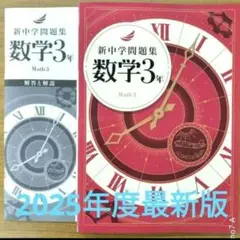 【2024年度最新版】 新品 新中学問題集 公民他【解答付】 新中学問題集 公民 中3 標準編 2024年改訂版 社会 【プログレス+