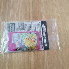 匿名配送　ポケモンフレンダ　ブレンダピック　スペシャルタッグ　ピカチュウ