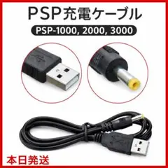 新品psp100020003000充電ケーブル　we