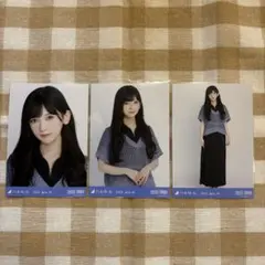 池田瑛紗　メッシュニット　真夏の全国ツアー2025 静岡　乃木坂46 生写真