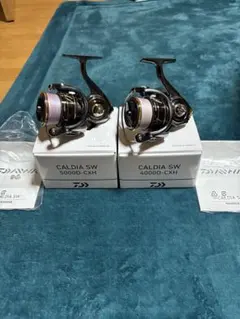 未使用品カルディア　22 CALDIA SW 8000 H　ダイワ ダイワ(Daiwa) 22 CALDIA(カルディア) SW 8000-H 00065053｜アウトドア
