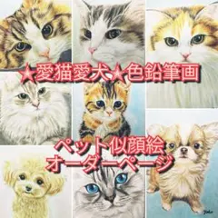 色鉛筆画✭愛猫愛犬✭ペット似顔絵　肖像画　イラスト　注文オーダー　受付ページ 2