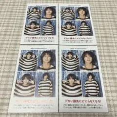 B&ZAI 橋本涼 証明写真 TVガイド