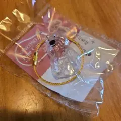 わんこのタイムカプセル モコ