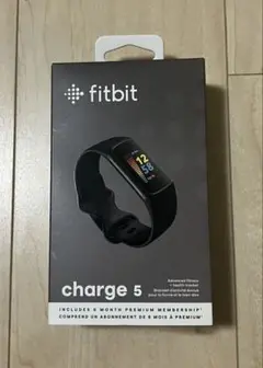 【中古】Fitbit Charge 5本体一式