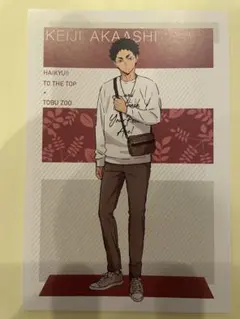 ハイキュー 赤葦京治 東武動物公園　ポストカード