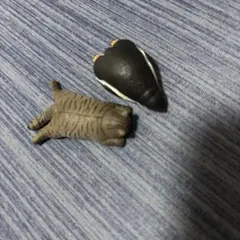 疲倦的睡覺 貓 企鵝