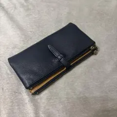 廃盤】ルポセカンドペンケース限定色ジェイブルー - メルカリ
