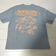 ZARA Sensory Experiments Tシャツ M