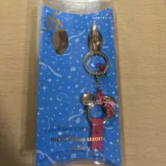 東京ディズニーリゾート 35周年 キーホルダー