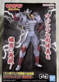 キン肉マン 完璧超人始祖編 リアルフィギュア 悪魔将軍 - メルカリ