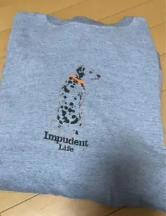 Item thumbnail for item 7bf970d0-e91d-4e78-9219-3580a166bd5f