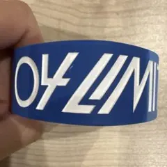 04 Limited Sazabys クリアバンド フォーリミ ラババン - メルカリ