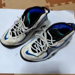 Nike Air Zoom Flight 95　ジャンク品のサムネイル