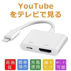 iPhone HDMI 変換アダプタ Lightning 大画面 簡単接続