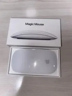 Apple magic mouse2
