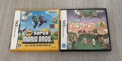 New Super Mario Bros. & おいでよ どうぶつの森