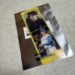 北海道日本ハムファイターズ 半透明シルキーフィルムステッカー 山崎福也