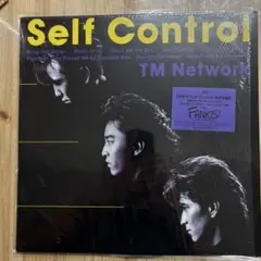 【傷なし美盤‼️良品‼️】TM Network Self Control レコード