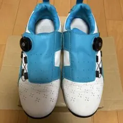 Item thumbnail for item f0d17651-af51-4730-b39c-8a29575d4fe1