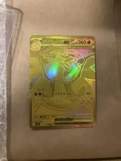 メガリザードンx mur インフェルノx