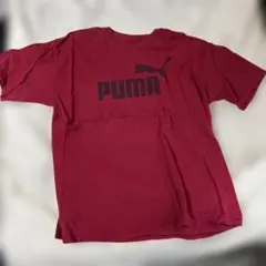 PUMA プリントTシャツ ボルドー