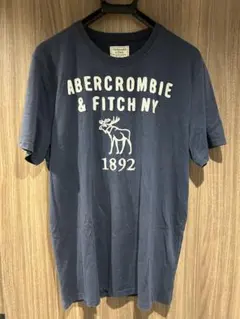 アバクロンビー＆フィッチ ビッグロゴ アップリケTシャツ ネイビー XL