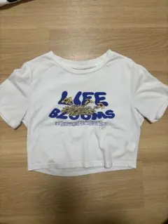 クロップドTシャツ ホワイト