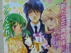 NEW マクロスフロンティア 超限定店頭用 ポスター マクロスF 先着！最後の1点 マクロスフロンティア 限定店頭用 ポスター