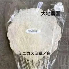 まみちゃん様　ご専用