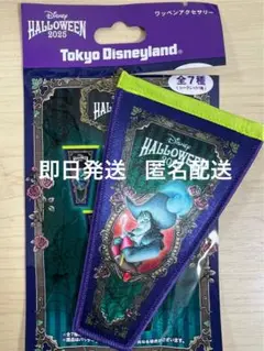 ディズニー　ハロウィーン　ワッペンアクセサリー　フック船長