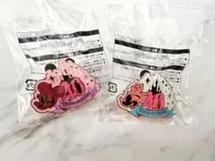 東京ディズニーリゾート40周年 ジャングルカーニバル　ミッキーミニー　ピンバッジ