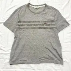 クロコダイル ロゴ刺繍 ボタニカル Tシャツ 半袖 グレー 3L 大きいサイズのサムネイル