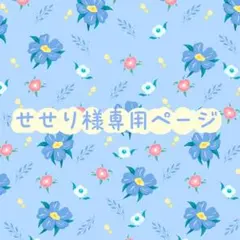 せせり様専用ページ