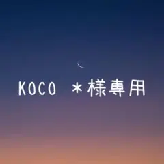 【KOCO ＊様】天然石ピアス おまとめ2点