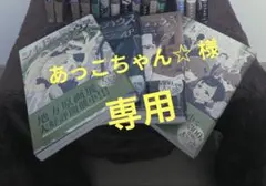 あっこちゃん☆様専用