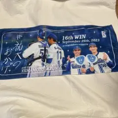 横浜DeNAベースターズ　祐大のおかげ